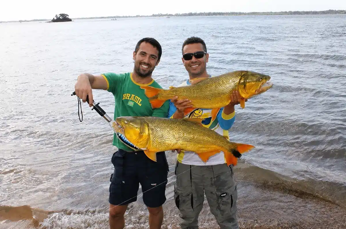 Pesca esportiva na Argentina em Passo de la Patria